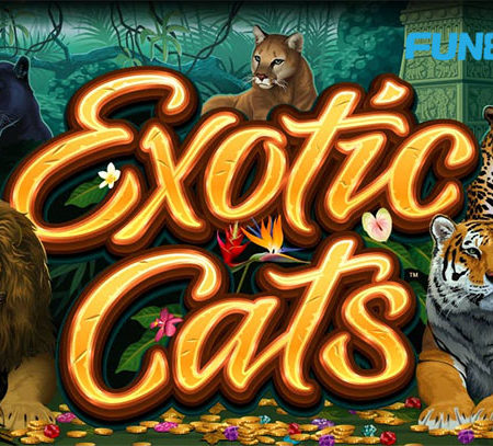 Exotic Cats – วิธีเล่นสล็อต Exotic Cats ที่ Fun88 Bookie